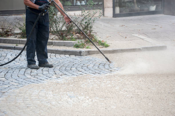 Best Roof Washing  in Esperance, WA